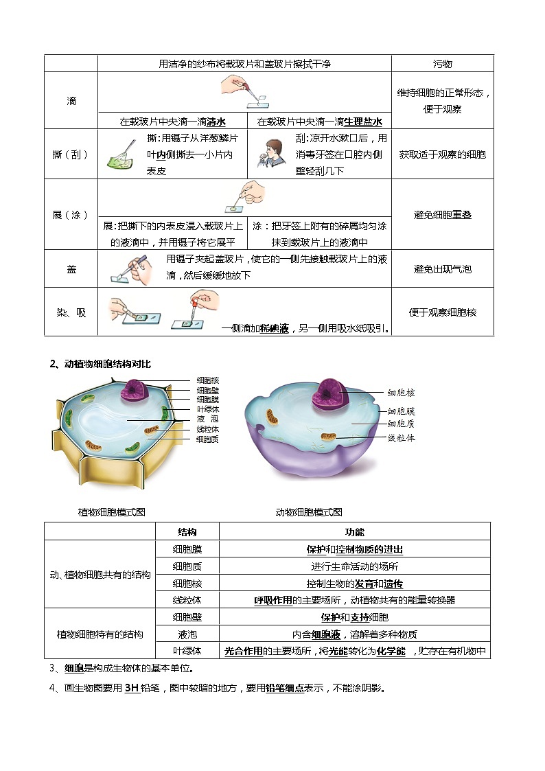 清单02 生物体的结构层次（6大考点+6大高频命题点）（教师版）第3页