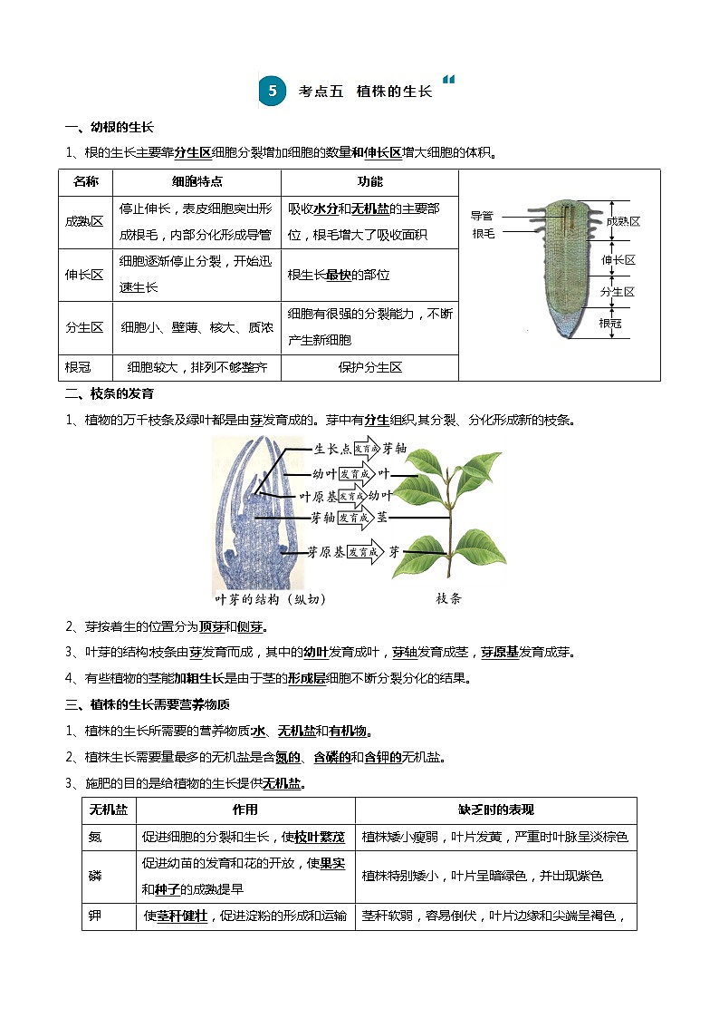 清单03 生物圈中有哪些绿色植物+被子植物的一生（6大考点+6大高频命题点）（教师版）第3页