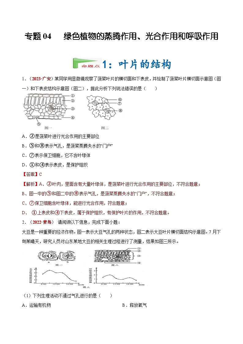【2024会考】初中生物会考真题汇编 专题04 绿色植物的蒸腾作用、光合作用和呼吸作用（原卷+解析版）01