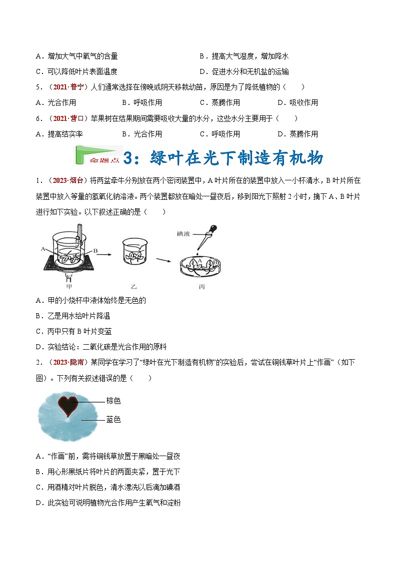 【2024会考】初中生物会考真题汇编 专题04 绿色植物的蒸腾作用、光合作用和呼吸作用（原卷+解析版）03