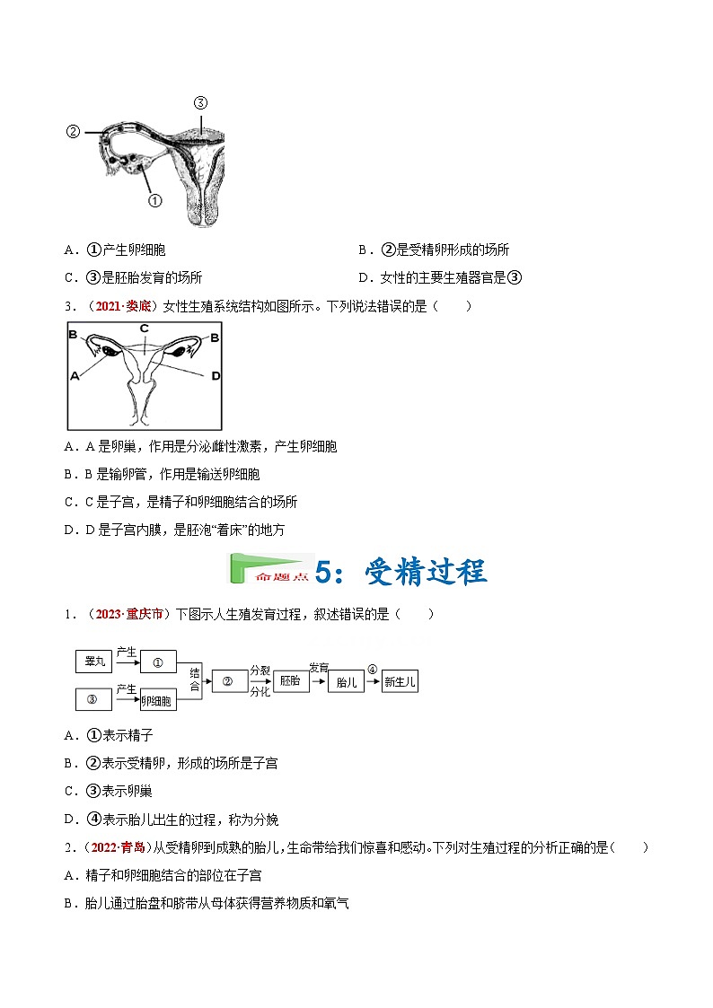 【2024会考】初中生物会考真题汇编 专题05 人的由来（原卷+解析版）03