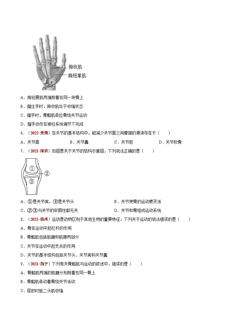 【2024会考】初中生物会考真题汇编 专题09 动物的运动和行为（原卷+解析版）03