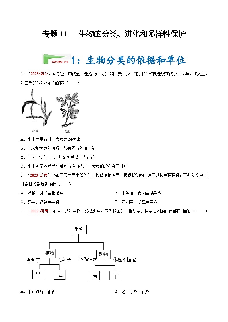 【2024会考】初中生物会考真题汇编 专题11 生物的分类、进化和多样性保护（原卷+解析版）01