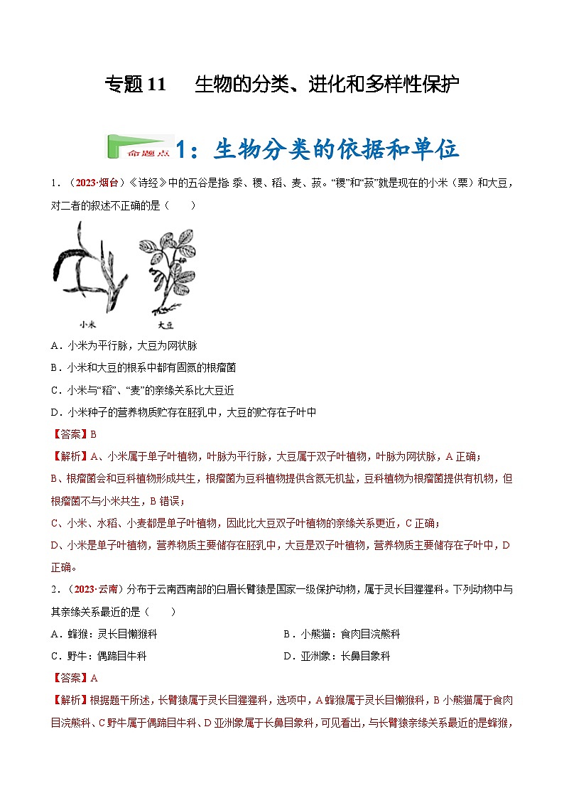【2024会考】初中生物会考真题汇编 专题11 生物的分类、进化和多样性保护（原卷+解析版）01