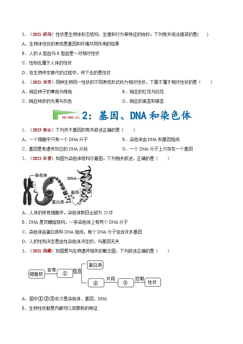专题13 生物的遗传和变异（原卷版）第2页