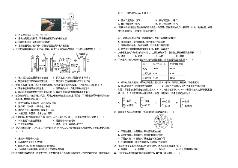 2023-2024学年初中下学期期中考试 七年级生物期中模拟卷（长沙专用）02