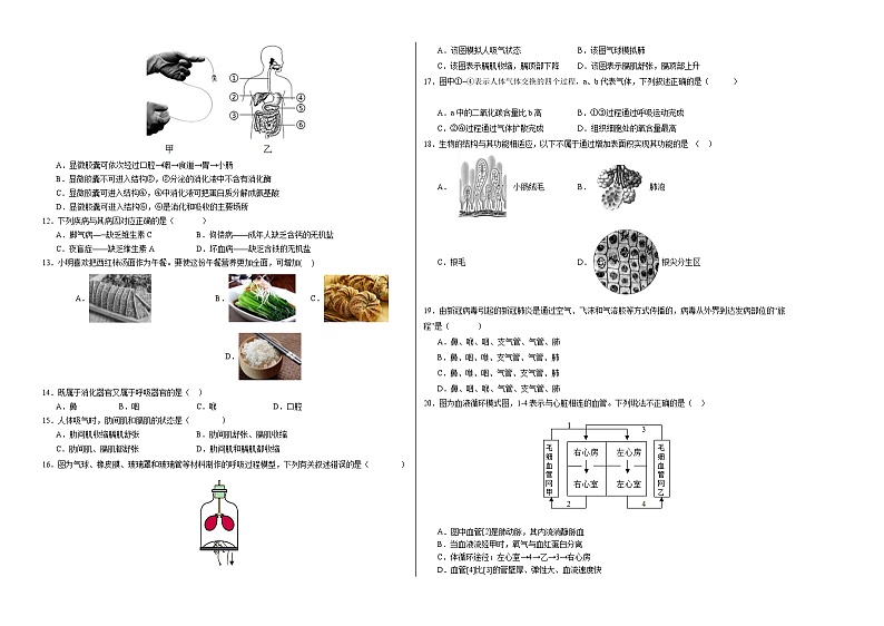 2023-2024学年初中下学期期中考试 七年级生物期中模拟卷（安徽专用）02