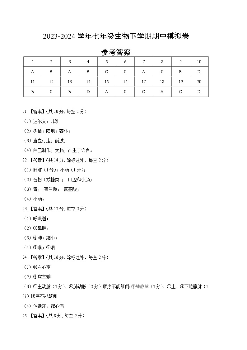 2023-2024学年初中下学期期中考试 七年级生物期中模拟卷（北京专用）01