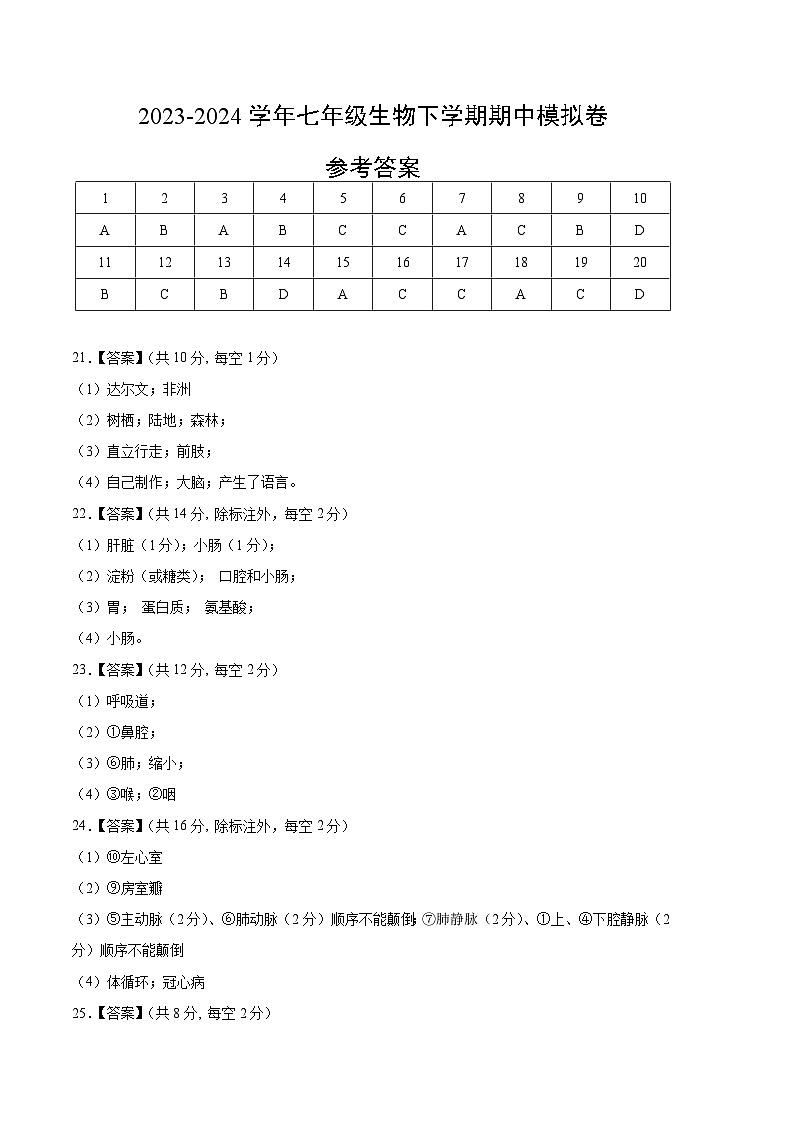 2023-2024学年初中下学期期中考试 七年级生物期中模拟卷（北京专用）01