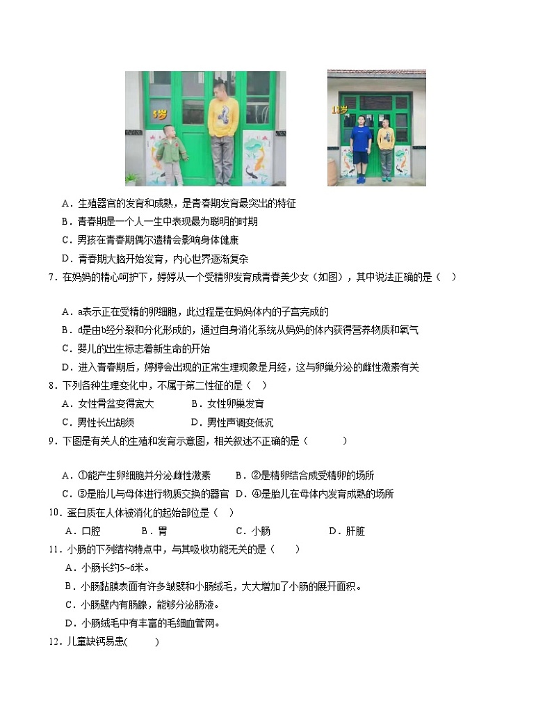 2023-2024学年初中下学期期中考试 七年级生物期中模拟卷（广东专用）02