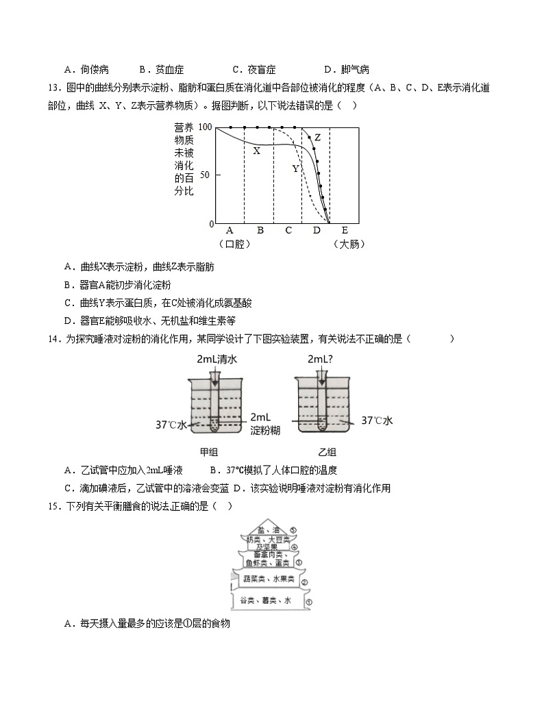 2023-2024学年初中下学期期中考试 七年级生物期中模拟卷（广东专用）03