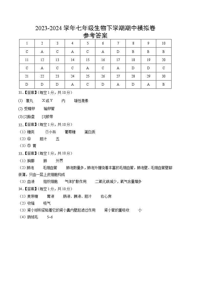 2023-2024学年初中下学期期中考试 七年级生物期中模拟卷（广东专用）01