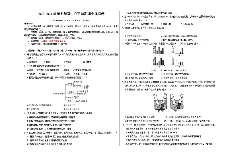 七年级生物期中模拟卷（考试版A3）【测试范围：第1~4章】（人教版）第1页