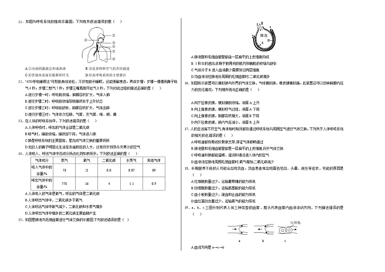 七年级生物期中模拟卷（考试版A3）【测试范围：第1~4章】（人教版）第2页