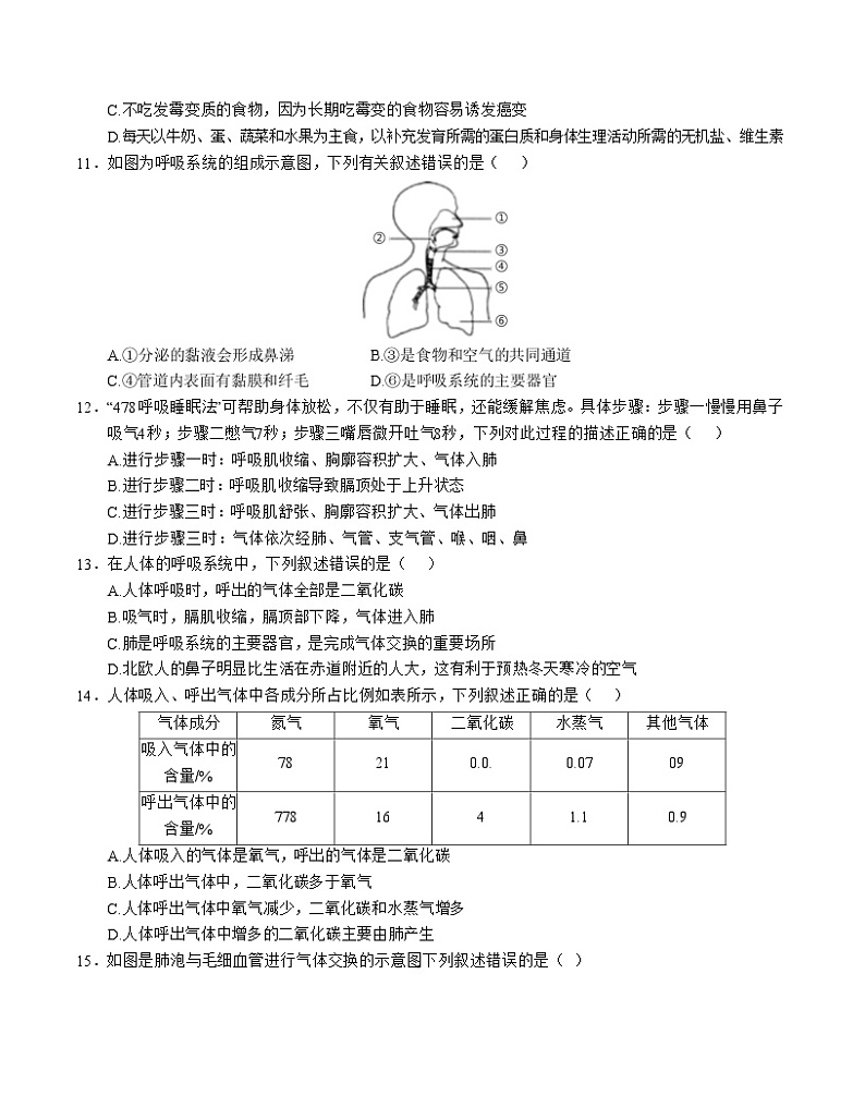 七年级生物期中模拟卷（考试版A4）【测试范围：第1~4章】（人教版）第3页