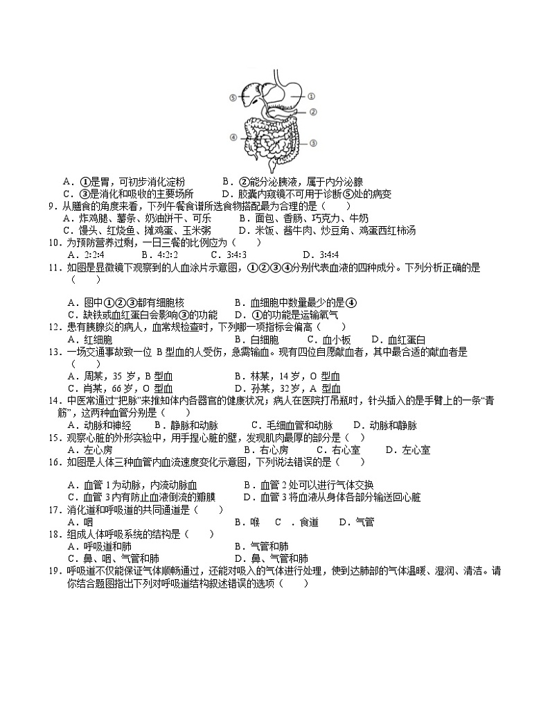 七年级生物期中模拟卷（考试版A4）【测试范围：第8~10章】（苏教版）第2页