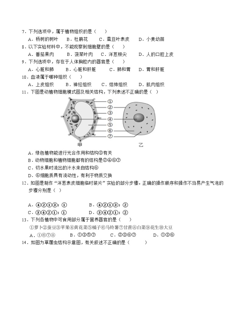 2023-2024学年初中下学期期中考试 七年级生物期中模拟卷（江苏专用，苏科版）02