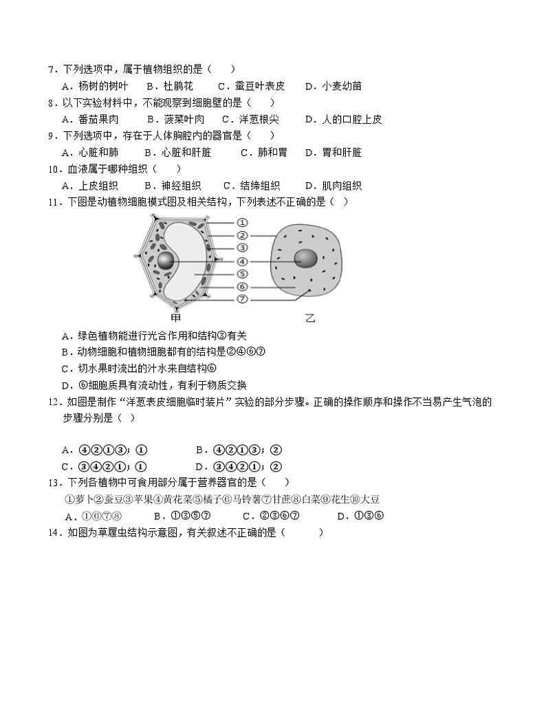 七年级生物期中模拟卷（考试版A4）【测试范围：第8~10章】（苏科版）第2页