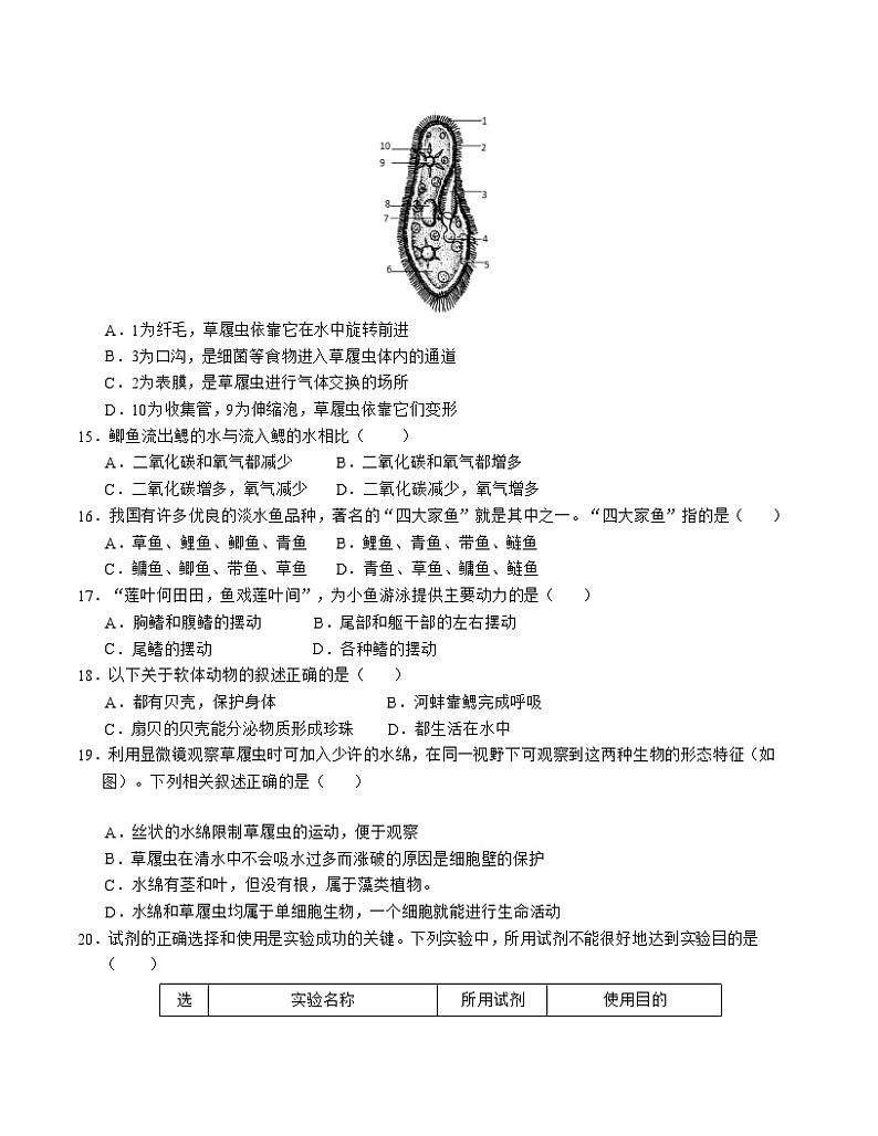 七年级生物期中模拟卷（考试版A4）【测试范围：第8~10章】（苏科版）第3页