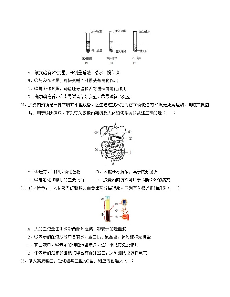 2023-2024学年初中下学期期中考试 七年级生物期中模拟卷（南京专用）03