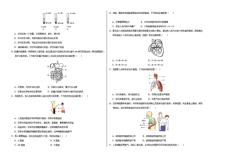 2023-2024学年初中下学期期中考试 七年级生物期中模拟卷（南京专用）02