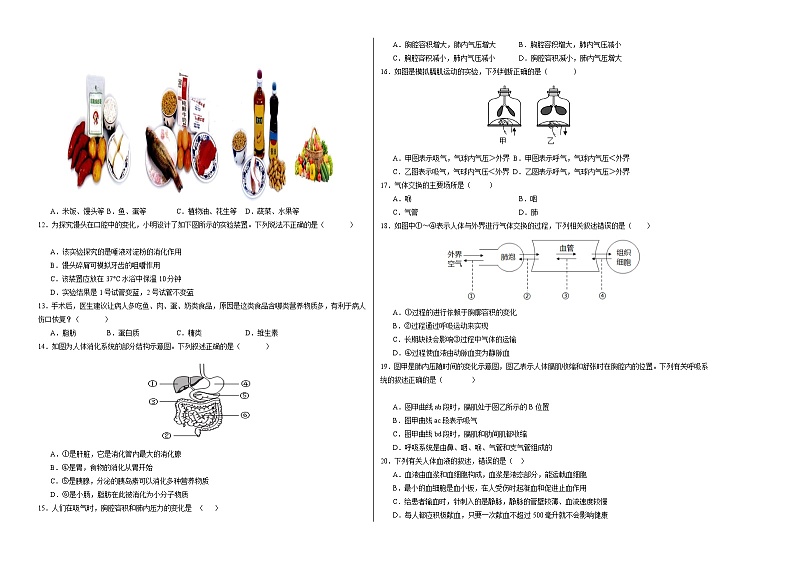 七年级生物期中模拟卷（考试版A3）【测试范围：人教版第1~4章】第2页