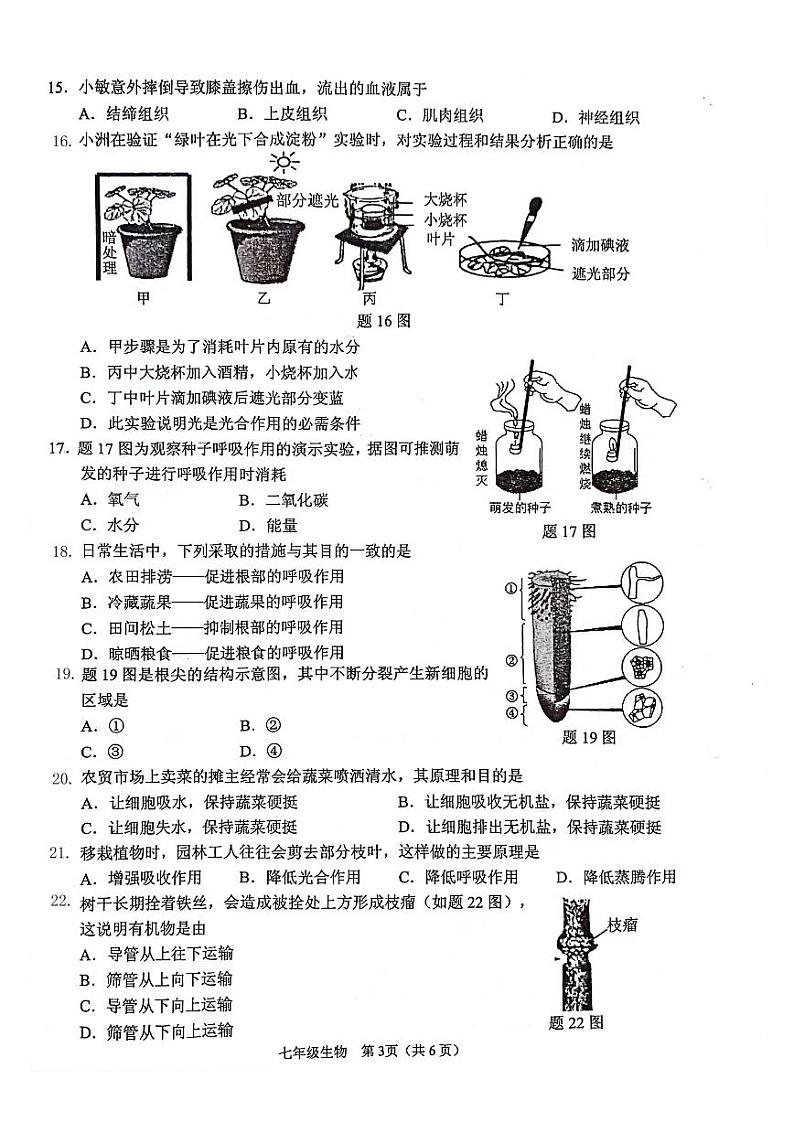 广东省珠海市香洲区2023-2024学年七年级上学期期末生物学试题03