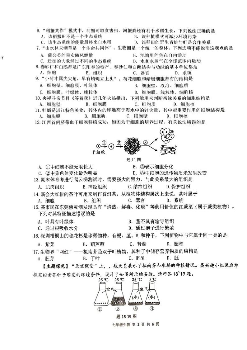 广东省东莞市东城街道2023-2024学年七年级上学期生物学期末质量检测试题第2页