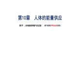 10.2人体细胞获得氧气的过程（呼吸运动）课件2023--2024学年北师大版生物七年级下册