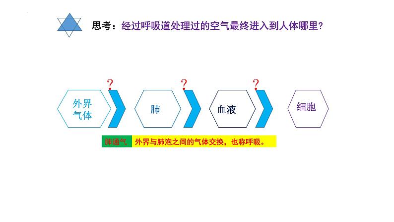 10.2人体细胞获得氧气的过程（呼吸运动）课件2023--2024学年北师大版生物七年级下册03