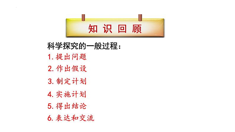 7.2.5生物的变异课件2023--2024学年人教版生物八年级下册 (1)第5页