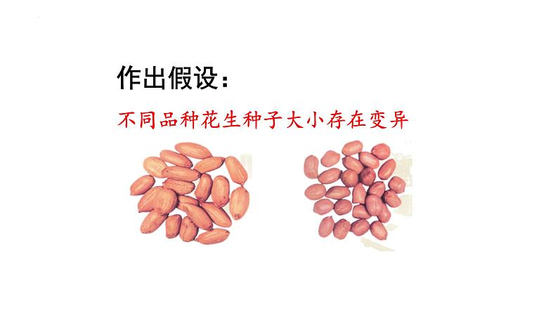 7.2.5生物的变异课件2023--2024学年人教版生物八年级下册 (1)第7页