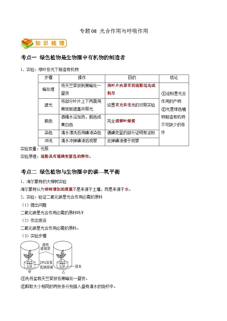 中考生物一轮复习抓重点考典型专题08 光合作用和呼吸作用（含解析）第1页