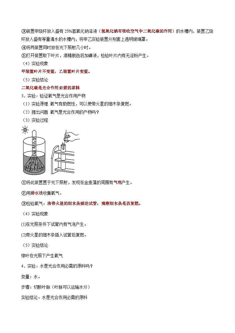 中考生物一轮复习抓重点考典型专题08 光合作用和呼吸作用（含解析）第2页