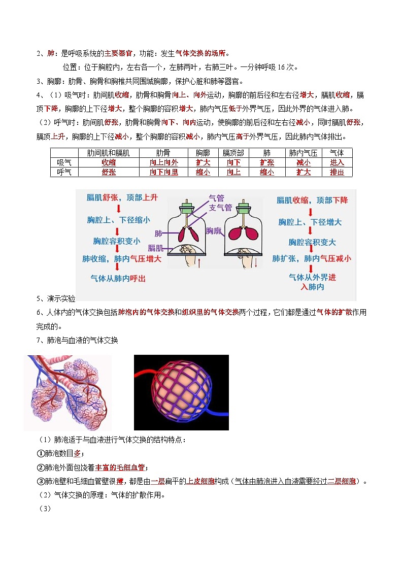 中考生物一轮复习抓重点考典型专题11 人体的呼吸（含解析）第2页
