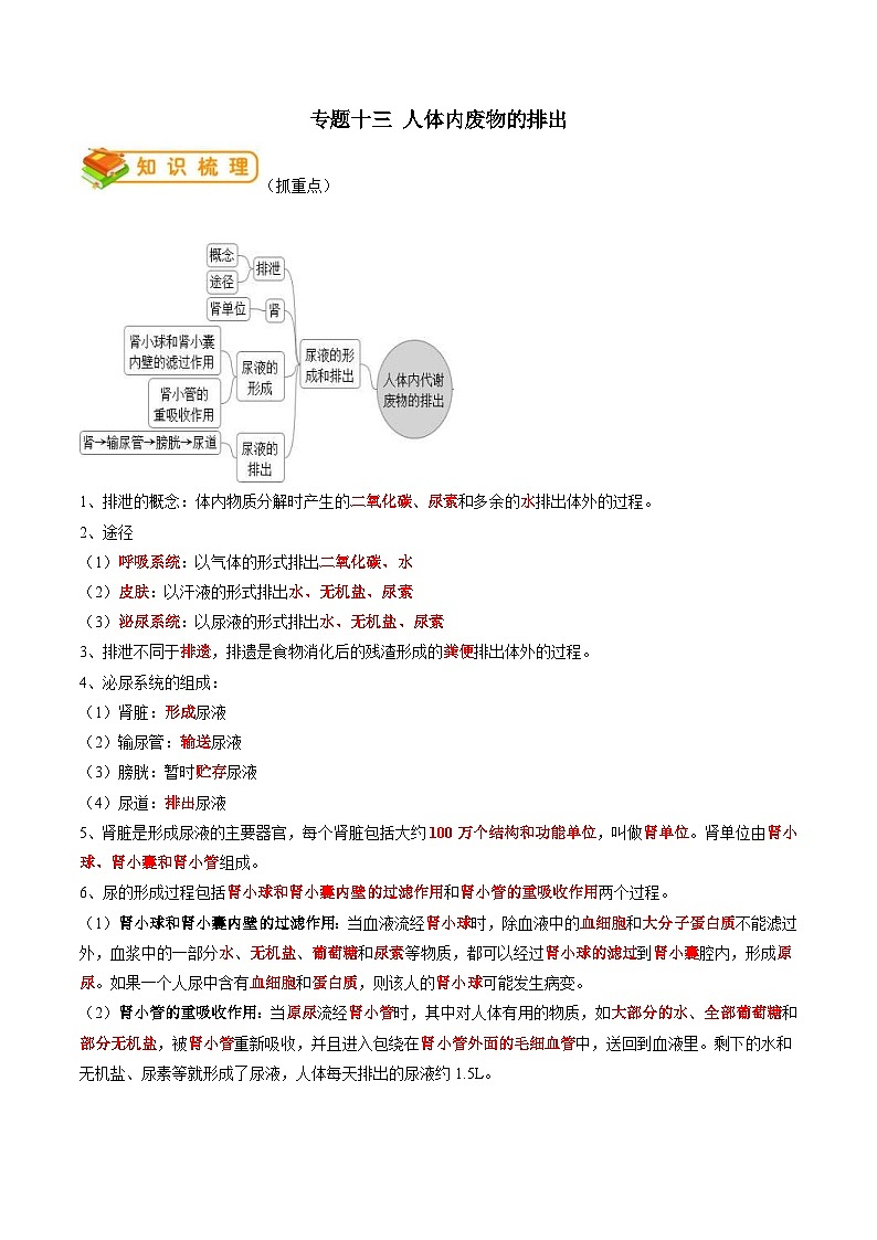 中考生物一轮复习抓重点考典型专题13 人体内物质的运输（含解析）第1页