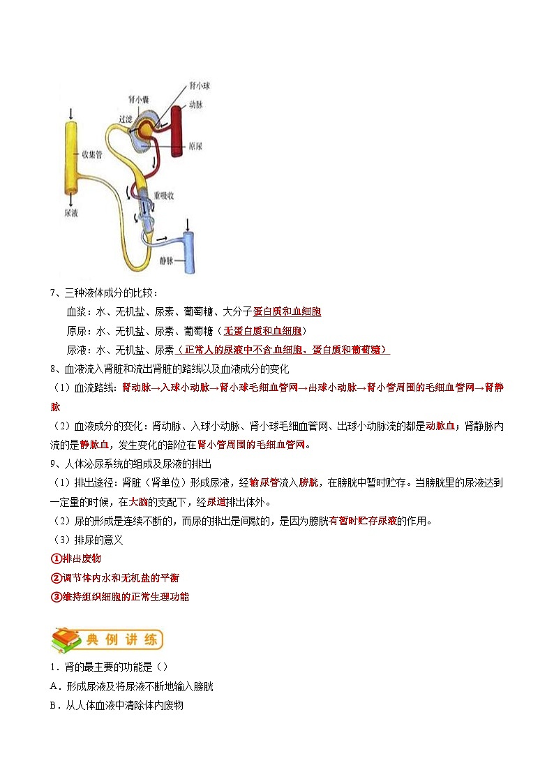 中考生物一轮复习抓重点考典型专题13 人体内物质的运输（含解析）第2页