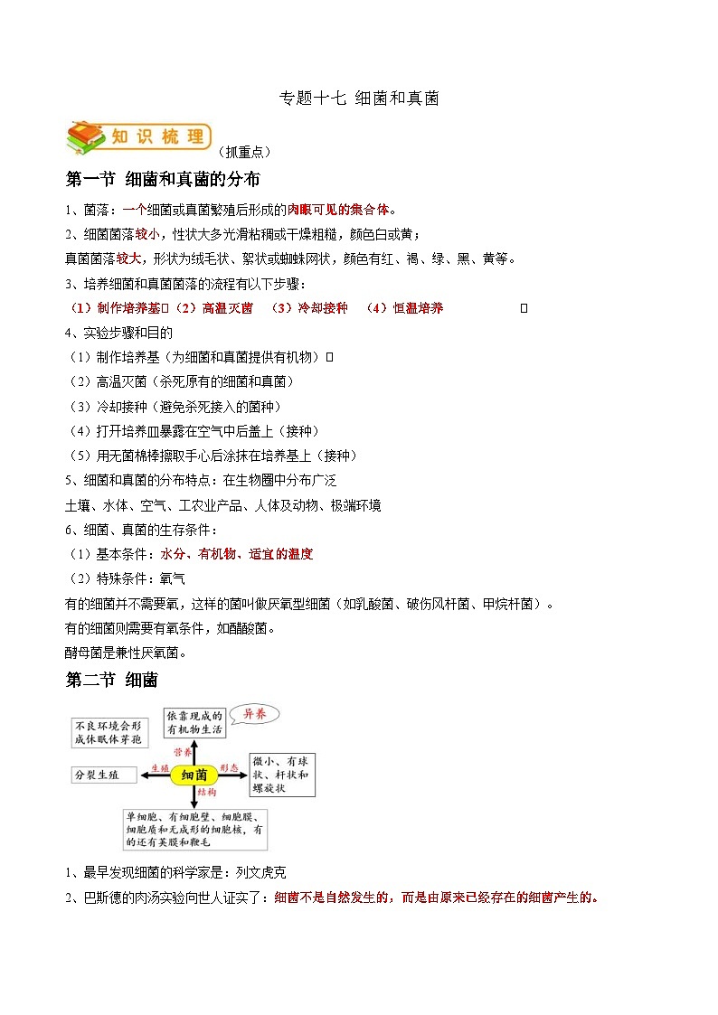 中考生物一轮复习抓重点考典型专题17 细菌、真菌、病毒（含解析）第1页