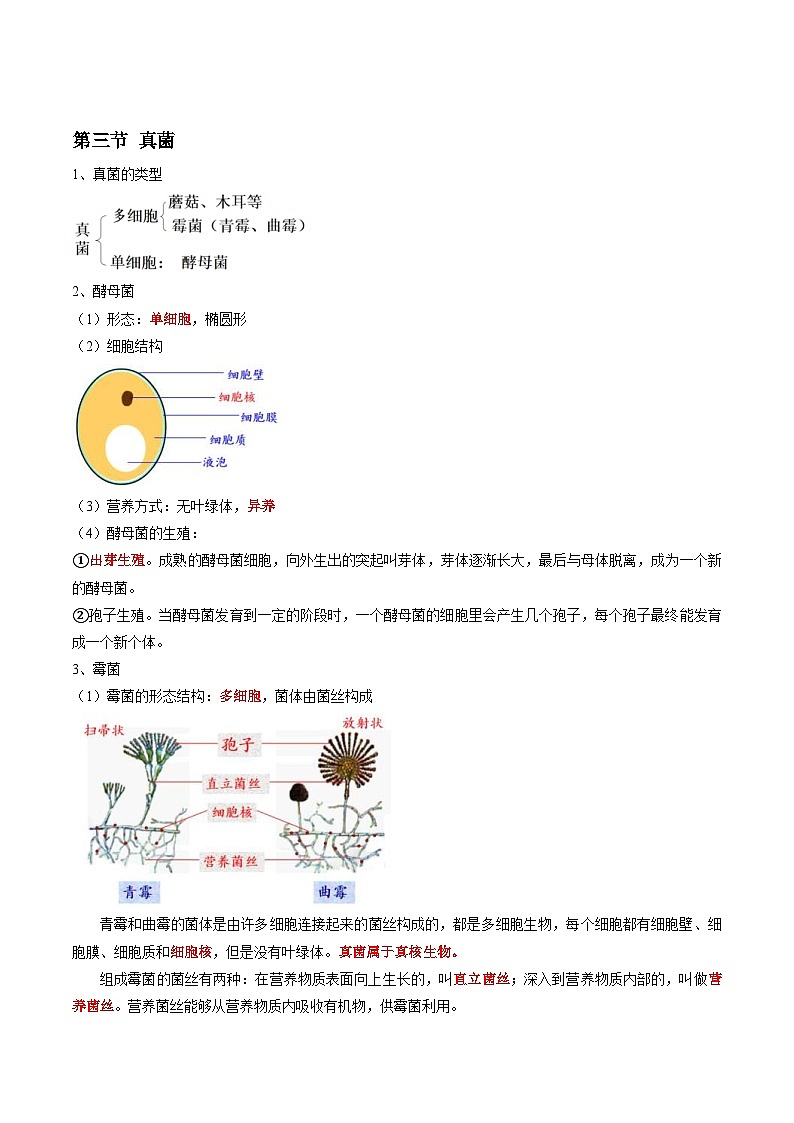 中考生物一轮复习抓重点考典型专题17 细菌、真菌、病毒（含解析）第3页