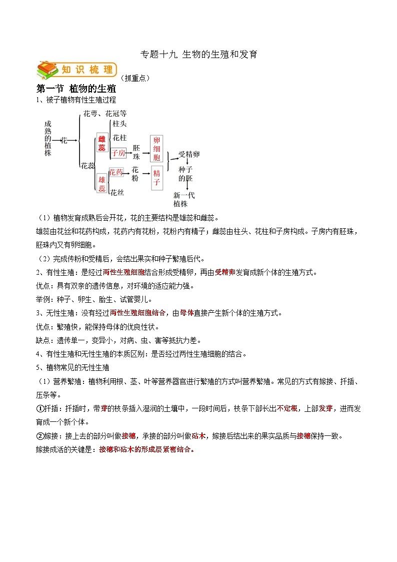 中考生物一轮复习抓重点考典型专题19 生物的生殖和发育（含解析）01