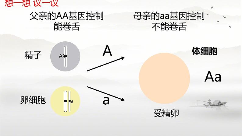 基因的显性和隐性 课件第3页