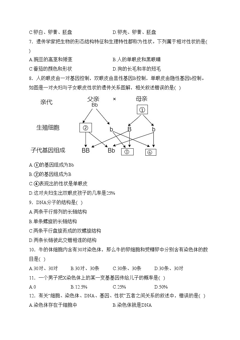 陕西省西安市莲湖区远东二中2023-2024学年八年级下学期第一次月考生物试卷(含答案)02
