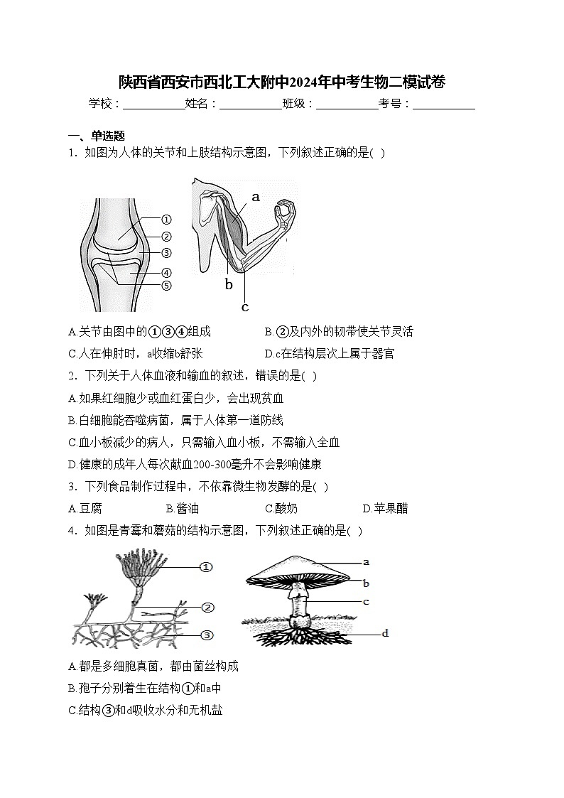 陕西省西安市西北工大附中2024年中考生物二模试卷(含答案)01