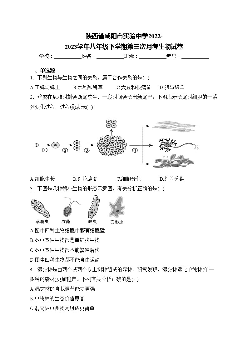 陕西省咸阳市实验中学2022-2023学年八年级下学期第三次月考生物试卷(含答案)01