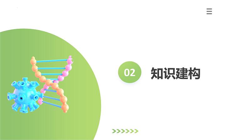 专题16 动物的主要类群（课件）-2024年中考生物一轮复习课件（全国通用）第5页