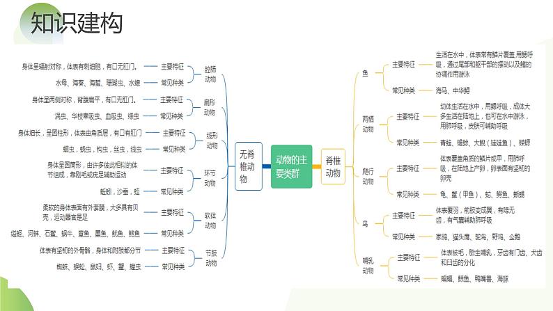 专题16 动物的主要类群（课件）-2024年中考生物一轮复习课件（全国通用）第6页