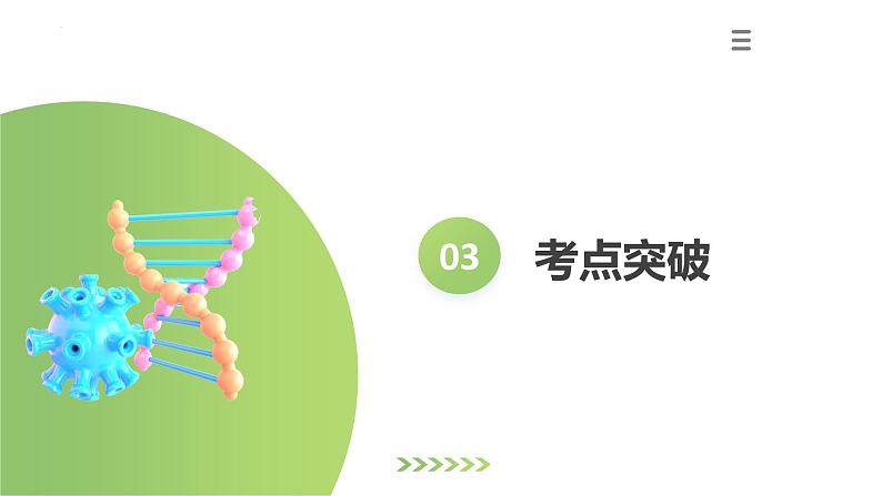 专题16 动物的主要类群（课件）-2024年中考生物一轮复习课件（全国通用）第7页