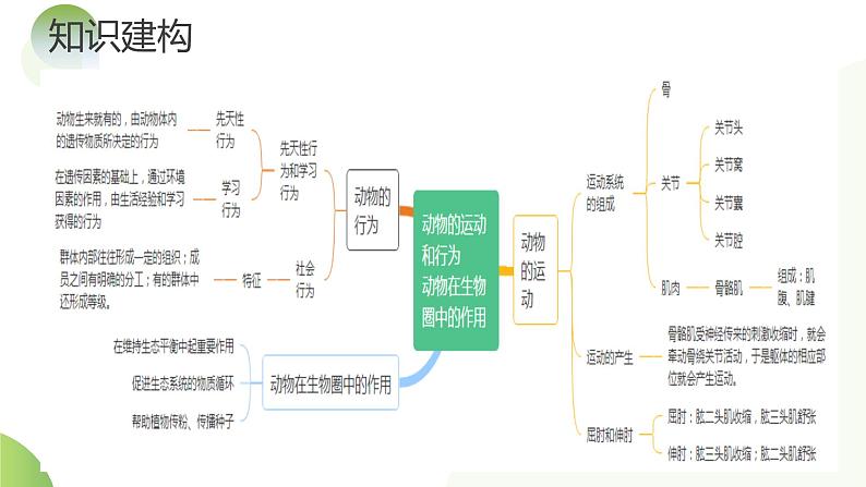 专题17 动物的运动和行为、动物在生物圈中的作用（课件）-2024年中考生物一轮复习课件（全国通用）第6页