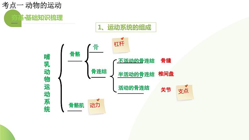 专题17 动物的运动和行为、动物在生物圈中的作用（课件）-2024年中考生物一轮复习课件（全国通用）第8页