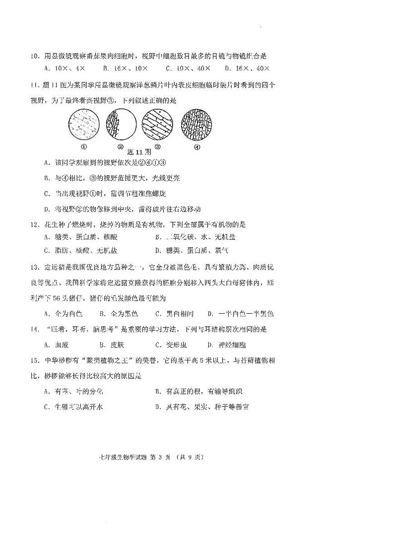 广东省佛山市禅城区2023-2024学年七年级上学期期末考试生物学试卷03